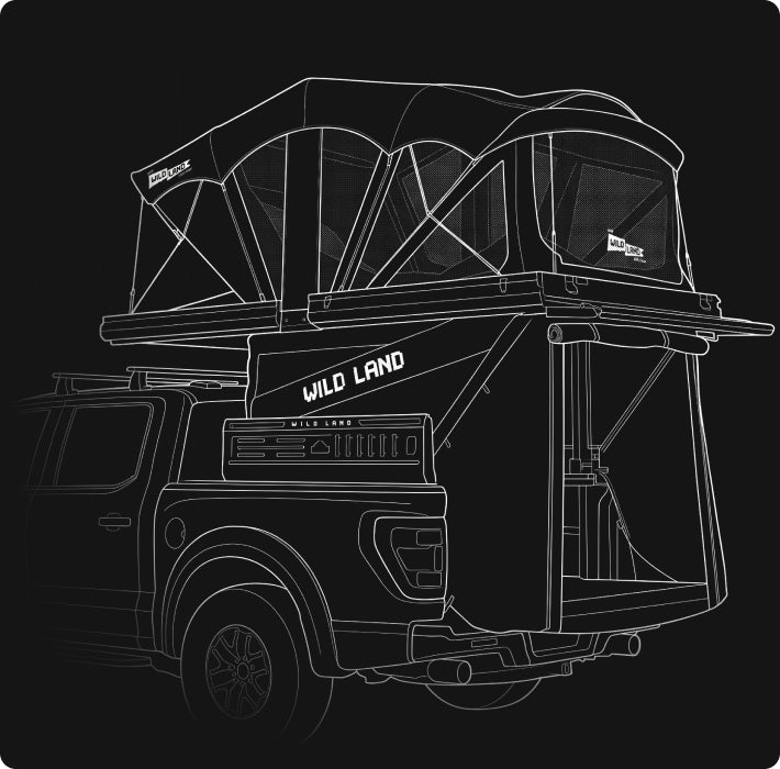 Trunk technical illustration